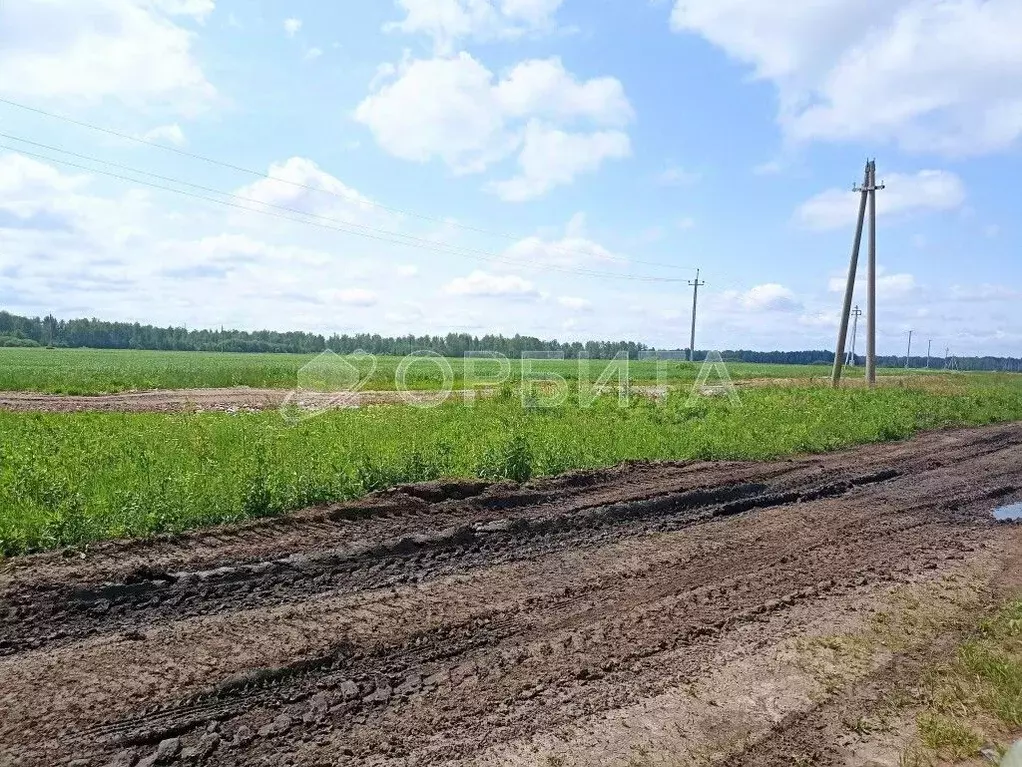 Участок в Тюменская область, Тюменский район, с. Горьковка  (5.0 сот.) - Фото 0