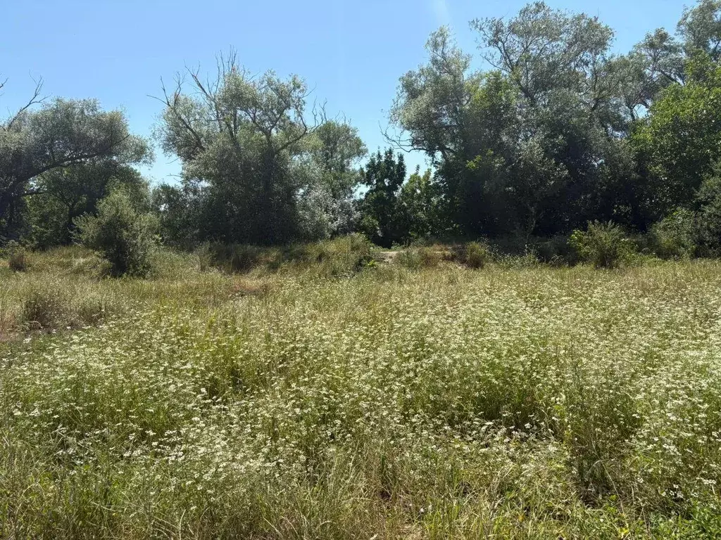 Участок, 40 сот., 0 - Фото 0