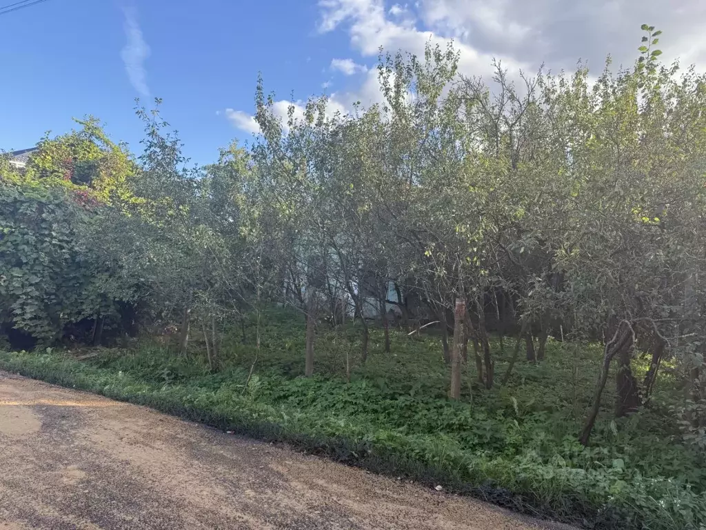 Участок в Москва Аэрофлот-1 СНТ, 32 (10.0 сот.) - Фото 1