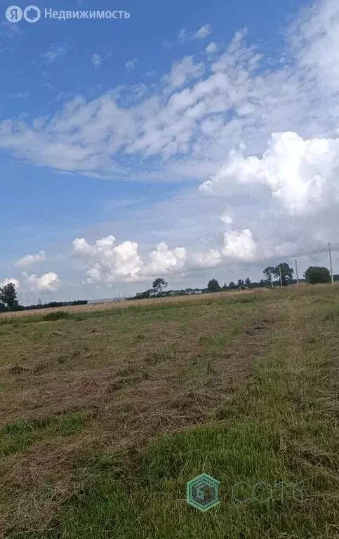 Участок в Калининградская область, Гурьевский муниципальный округ, ... - Фото 2