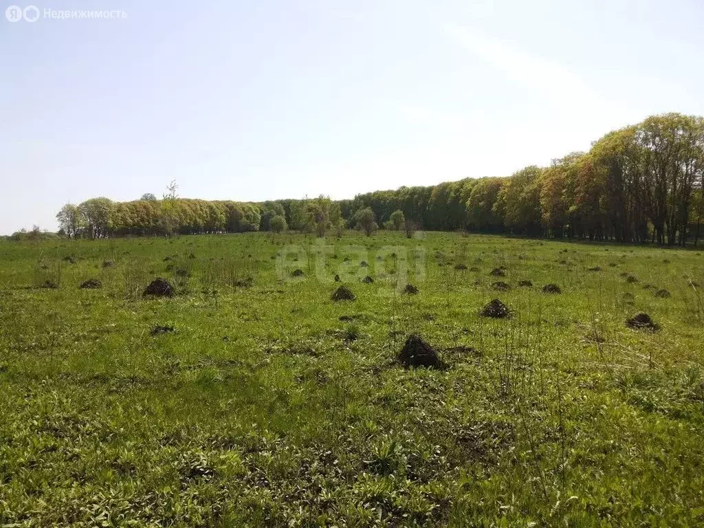 Участок в Заокский район, сельское поселение Демидовское, СНТ Берёзка ... - Фото 2