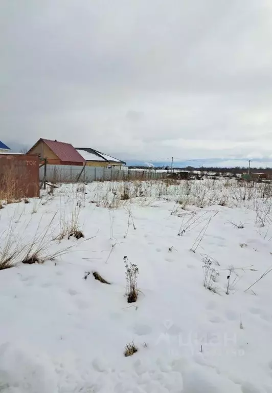 Участок в Нижегородская область, Арзамас городской округ, д. Князевка ... - Фото 1