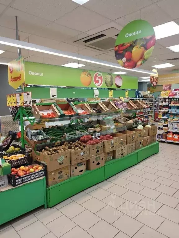 Торговая площадь в Пермский край, Соликамск ул. Пушкина, 1 (570 м) - Фото 2