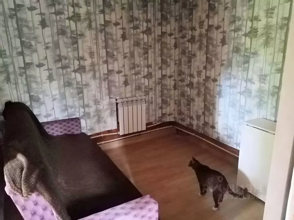Дом в Пермский край, Пермь ул. Смирнова, 99 (30 м) - Фото 1