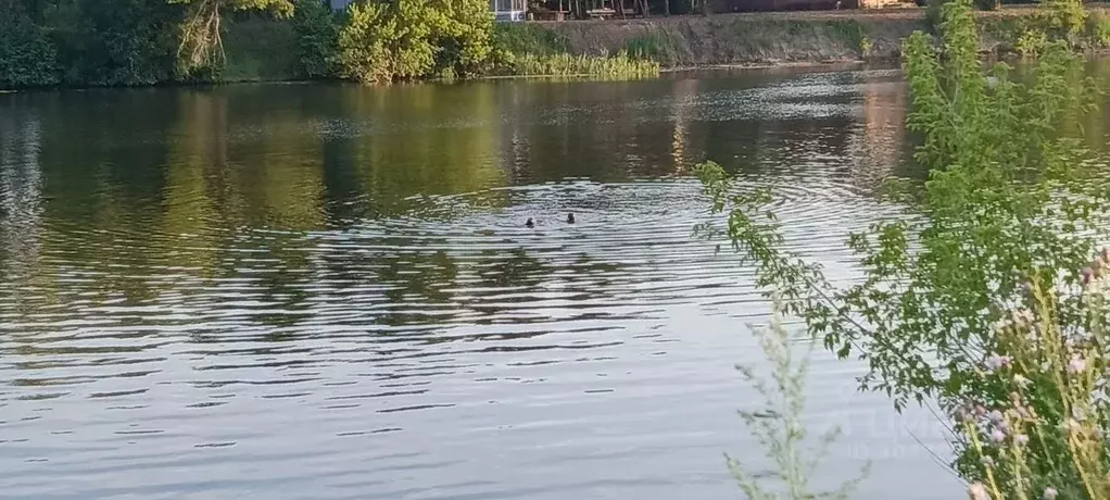 Участок в Курская область, Курский район, Ворошневский сельсовет, д. ... - Фото 0