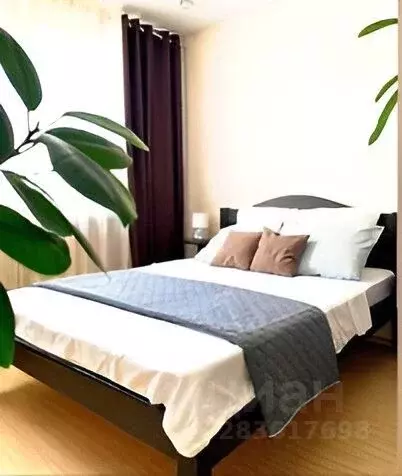 2-к кв. Костромская область, Кострома Рабочий просп., 13 (54.0 м) - Фото 1