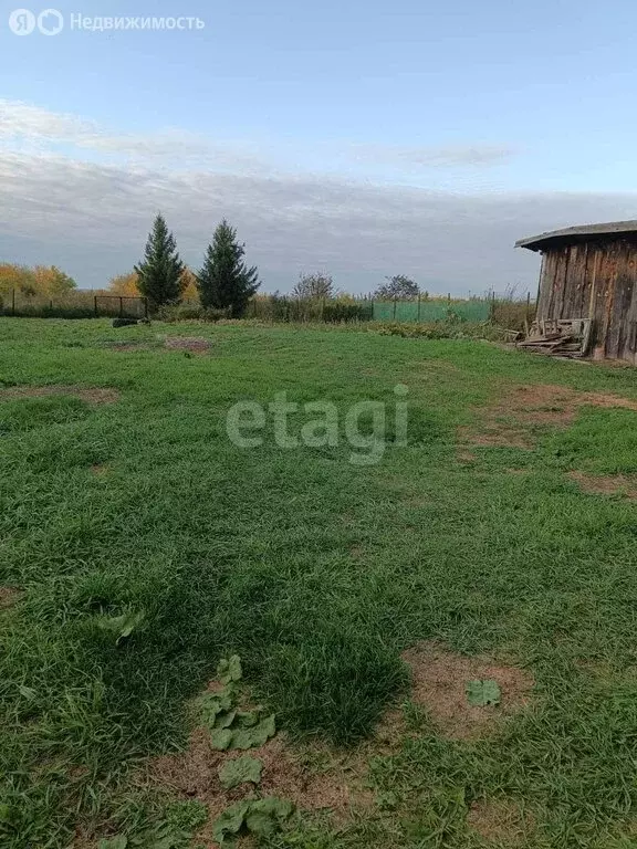 Участок в Ишимский район, деревня Большой Остров, Зелёная улица (15 м) - Фото 0