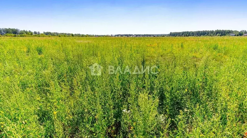 Участок в Московская область, Старая Купавна Богородский городской ... - Фото 0