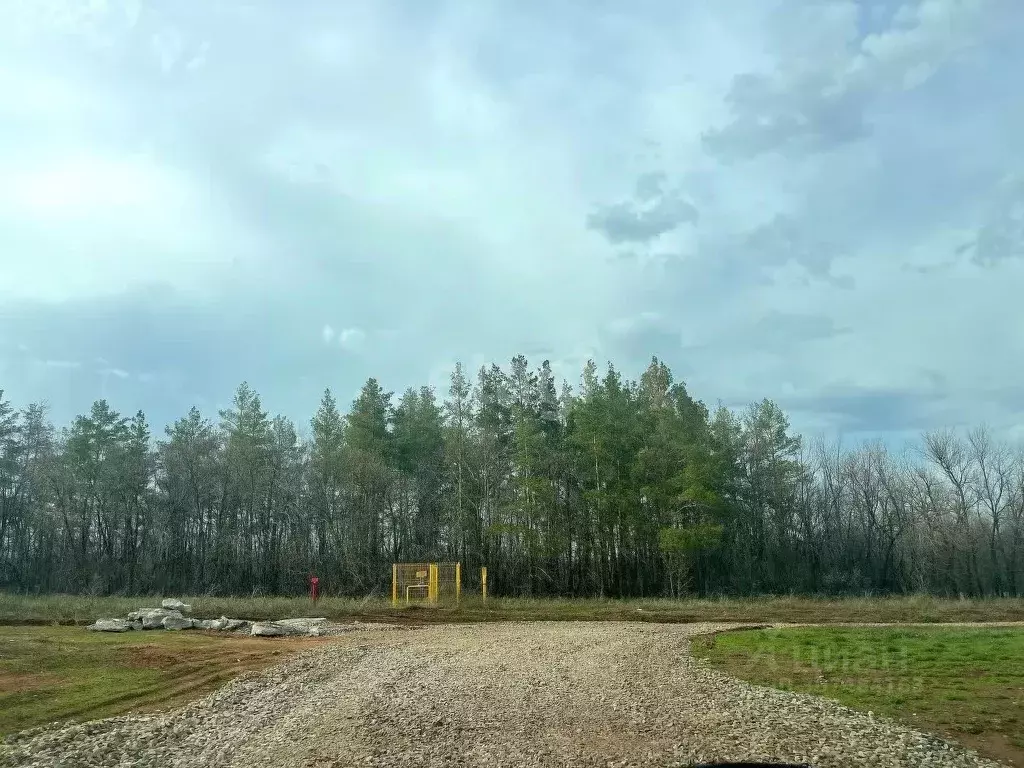 Участок в Оренбургская область, Оренбургский район, пос. Соловьевка  ... - Фото 0