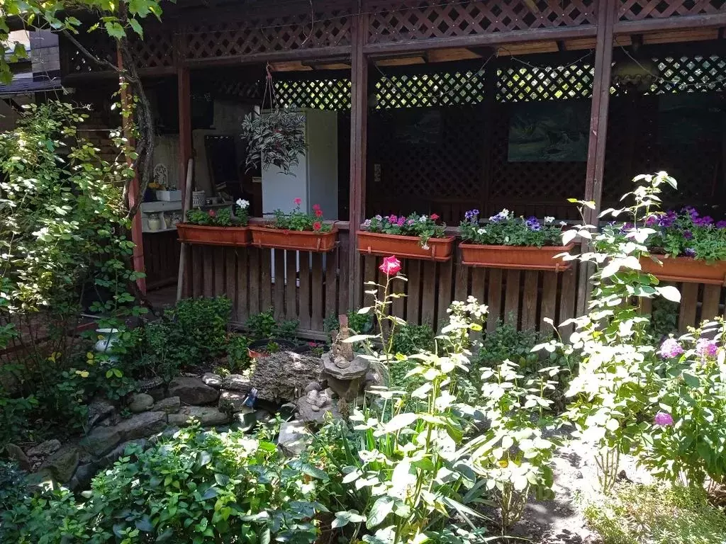 Дом в Краснодарский край, Новороссийск ул. Видова, 50Б (65 м) - Фото 1
