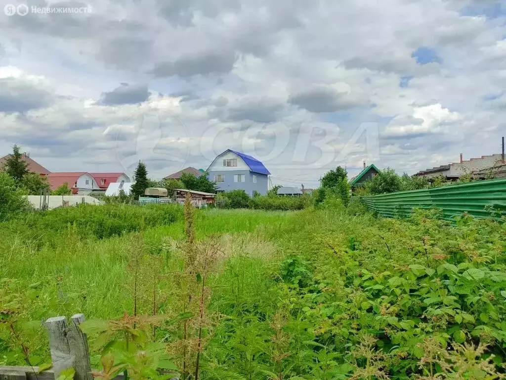 Участок в Тюмень, посёлок Букино (4.9 м) - Фото 1
