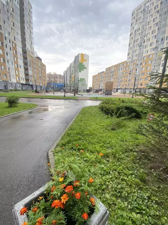 Студия Ленинградская область, Мурино Всеволожский район, просп. ... - Фото 2