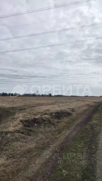 Участок в Тюменская область, Тюменский муниципальный округ, с. Борки  ... - Фото 2