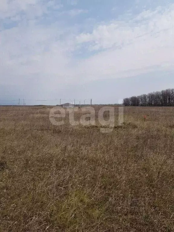 Участок в Липецкая область, Чаплыгин ул. Отрадная (10.0 сот.) - Фото 1