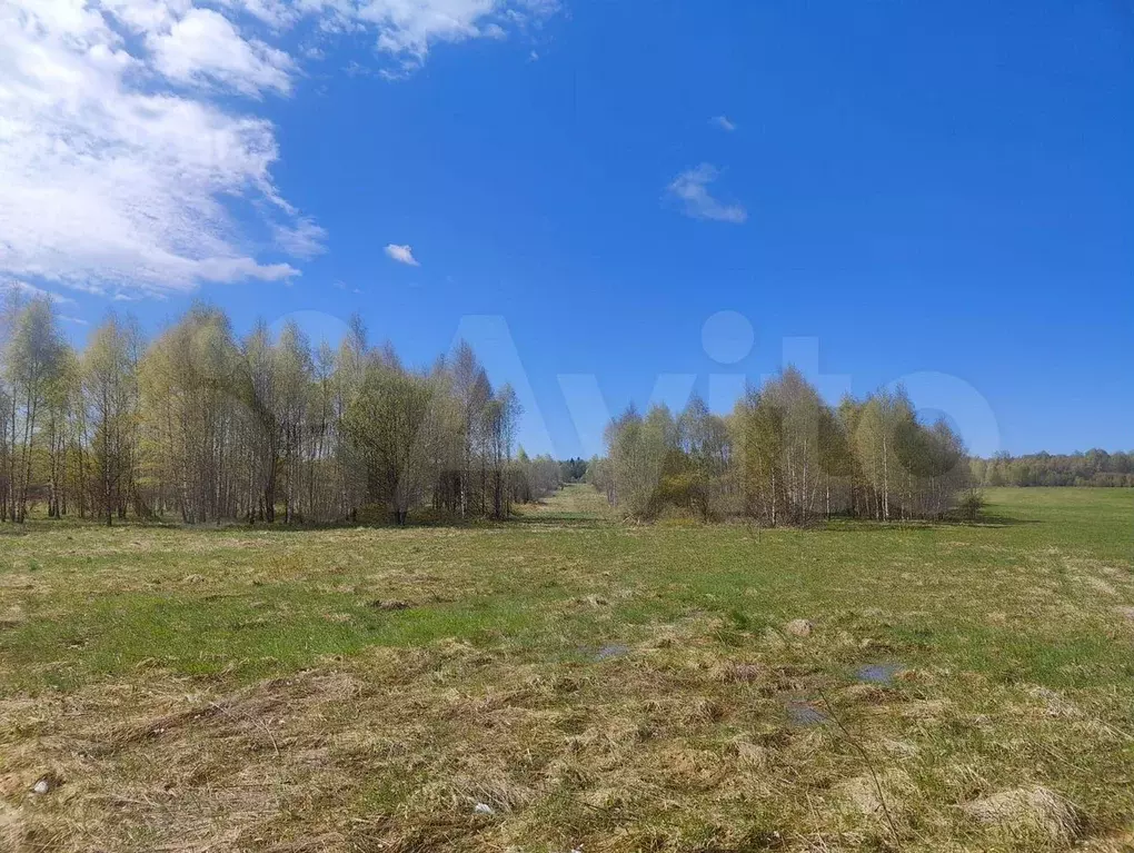 Участок 6 сот. (СНТ, ДНП) - Фото 1