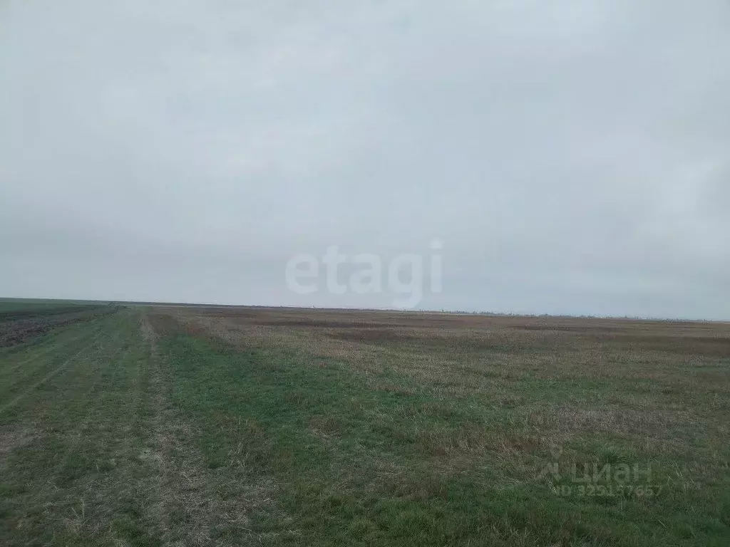 Участок в Крым, Ленинский район, Семисотское с/пос, с. Каменское ул. ... - Фото 1