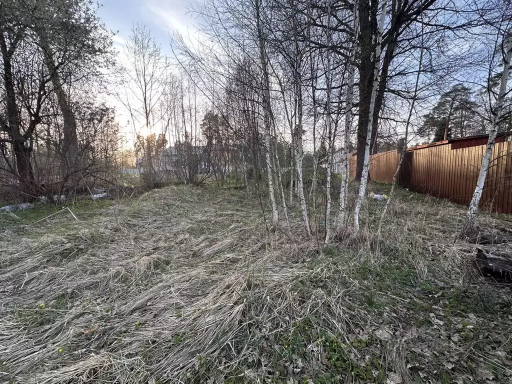 Участок в Московская область, Наро-Фоминский городской округ, Лубянка ... - Фото 1