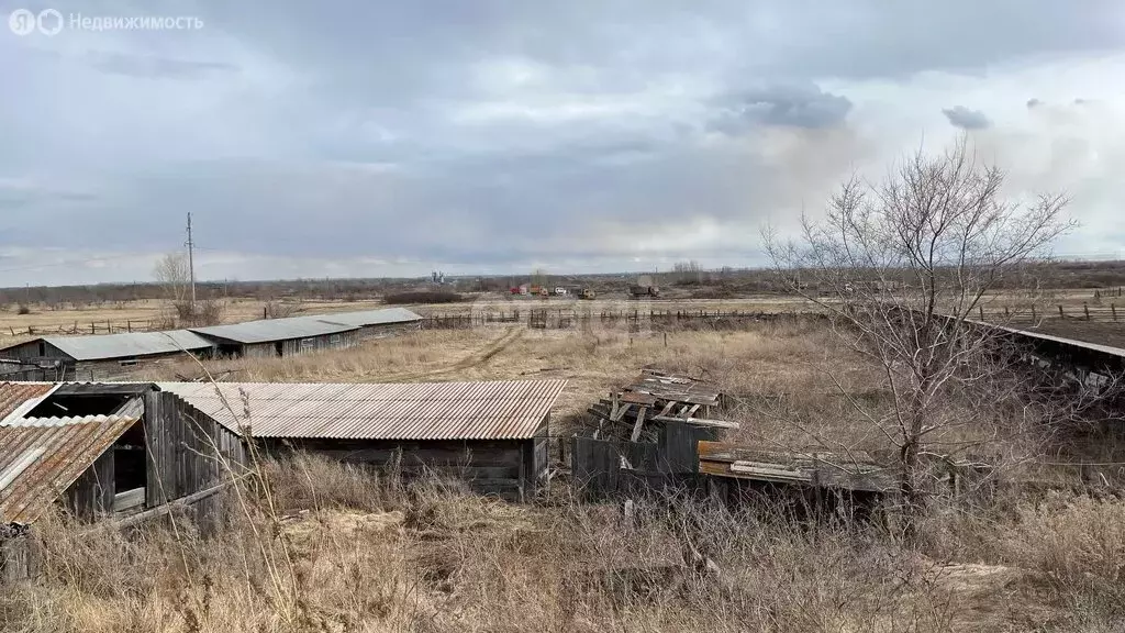 Участок в посёлок Ташеба, Подгорная улица (31.3 м) - Фото 1