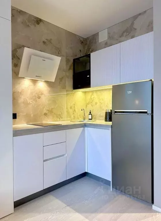 Студия Санкт-Петербург просп. Крузенштерна, 4с1 (18.5 м) - Фото 1