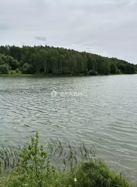 Участок в Нижегородская область, Богородский муниципальный округ, ... - Фото 0