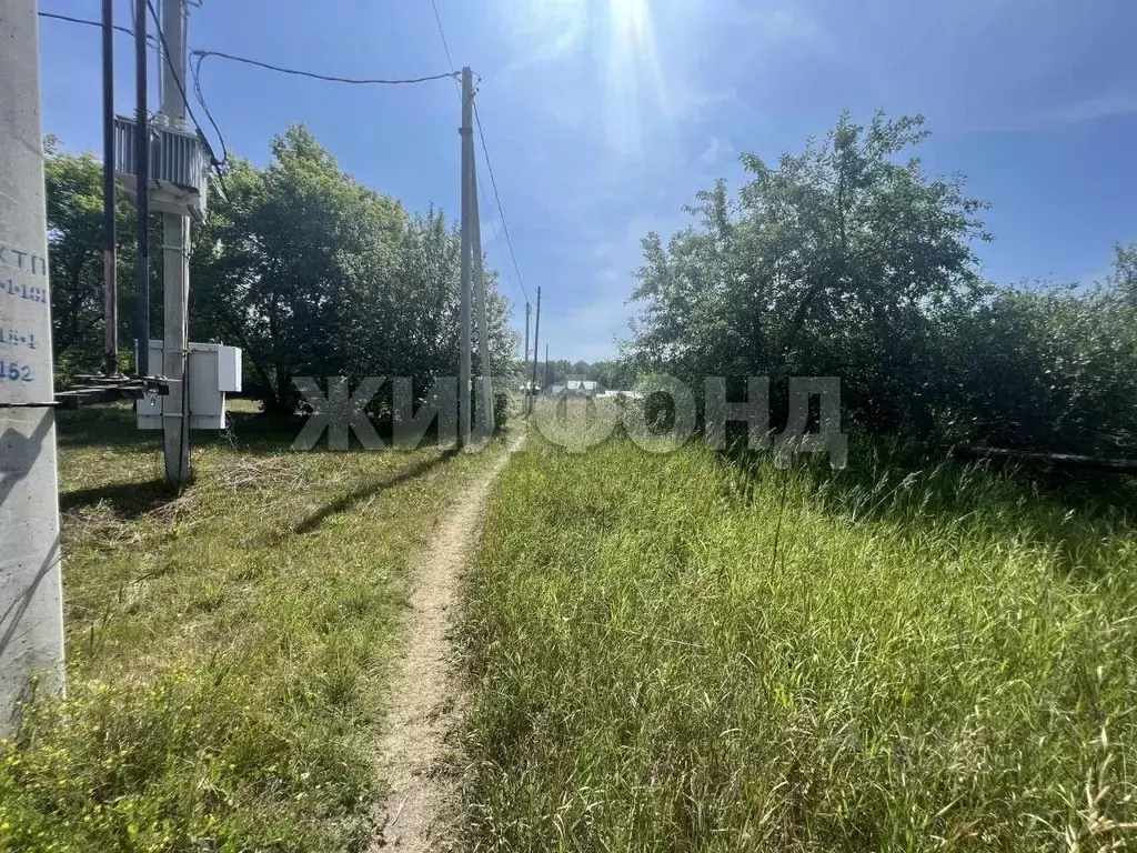 Участок в Алтайский край, Барнаул городской округ, пос. Мохнатушка ул. ... - Фото 0