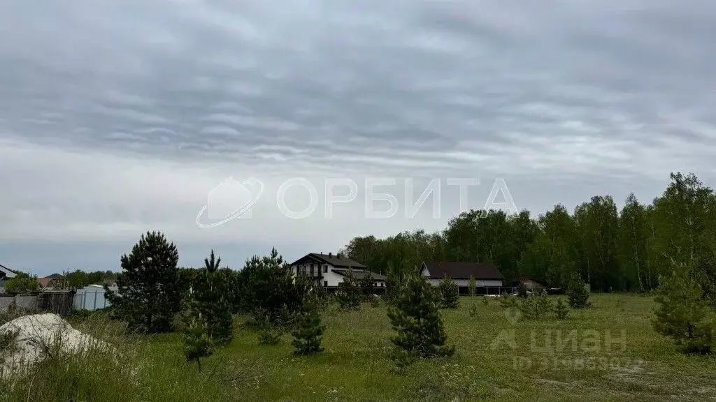 Участок в Тюменская область, Тюменский район, Новокаменский кп ул. ... - Фото 0
