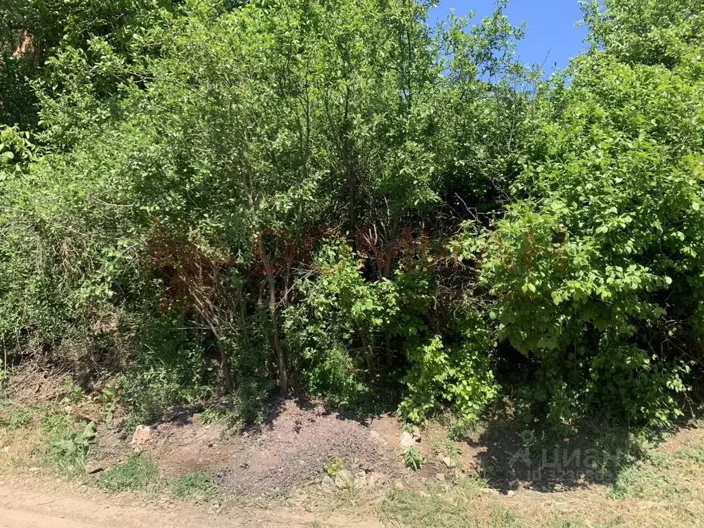 Участок в Ростовская область, Новочеркасск Ермак садовое товарищество, ... - Фото 2