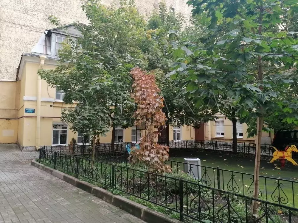 Помещение свободного назначения в Санкт-Петербург Моховая ул., 30 (242 ... - Фото 1