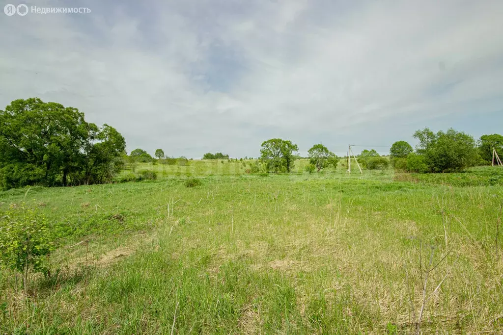 Участок в Наро-Фоминский городской округ, деревня Кузьминское (15 м) - Фото 2