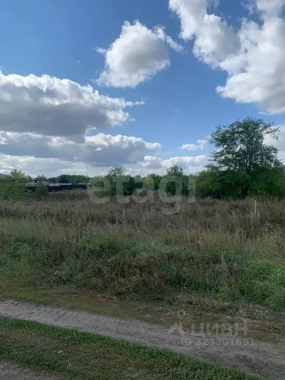 Участок в Ульяновская область, Тереньгульский район, Подкуровское ... - Фото 2