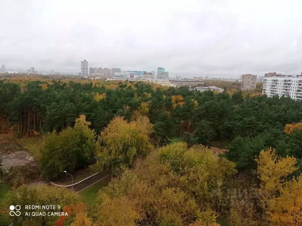 1-к кв. Москва ул. Расплетина, 19К2 (36.0 м) - Фото 1