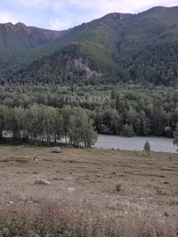 Участок в Алтай, Онгудайский район, с. Иодро Центральная ул. (73.66 ... - Фото 1