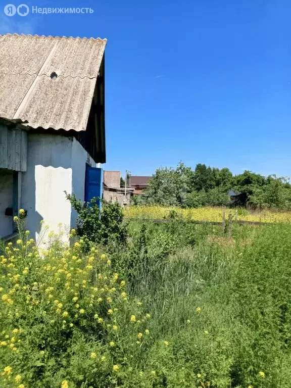 Дом в Черногорск, садоводческое некоммерческое товарищество район ... - Фото 1
