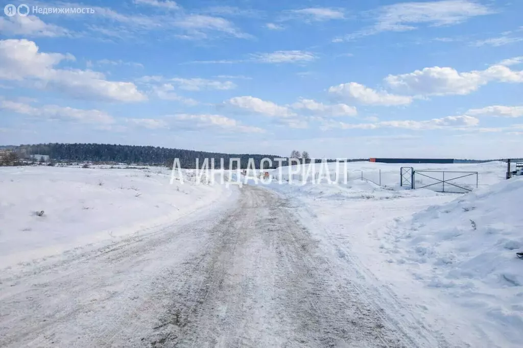 Участок в Домодедово, микрорайон Востряково, улица Заборье, 1Д (125 м) - Фото 2