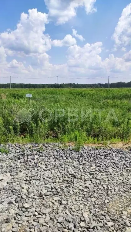 Участок в Тюменская область, Тюменский муниципальный округ, с. Борки  ... - Фото 1