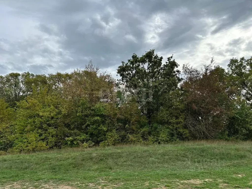 Участок в Крым, Симферопольский район, Перовское с/пос, с. ... - Фото 1