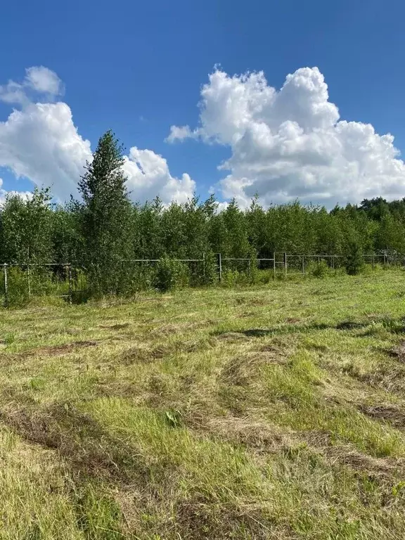 Участок в Московская область, Раменский муниципальный округ, Заречье ... - Фото 2