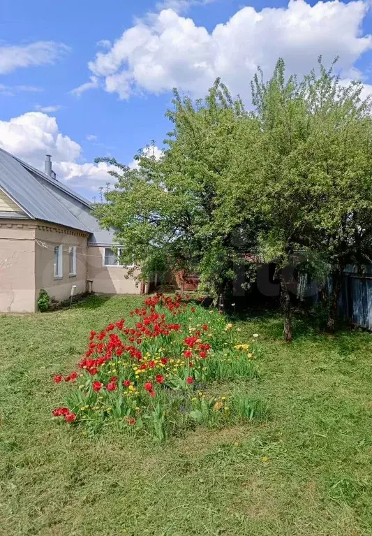 Дом 40 м на участке 20 сот. - Фото 1