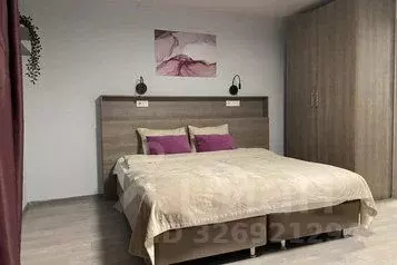 1-к кв. Санкт-Петербург Детский пер., 2 (30.0 м) - Фото 1