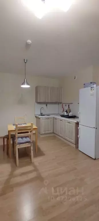Студия Ленинградская область, Мурино Всеволожский район, просп. ... - Фото 0