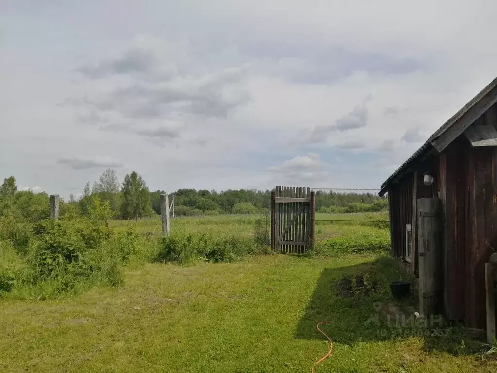 Дом в Владимирская область, Судогодский район, Муромцевское ... - Фото 1