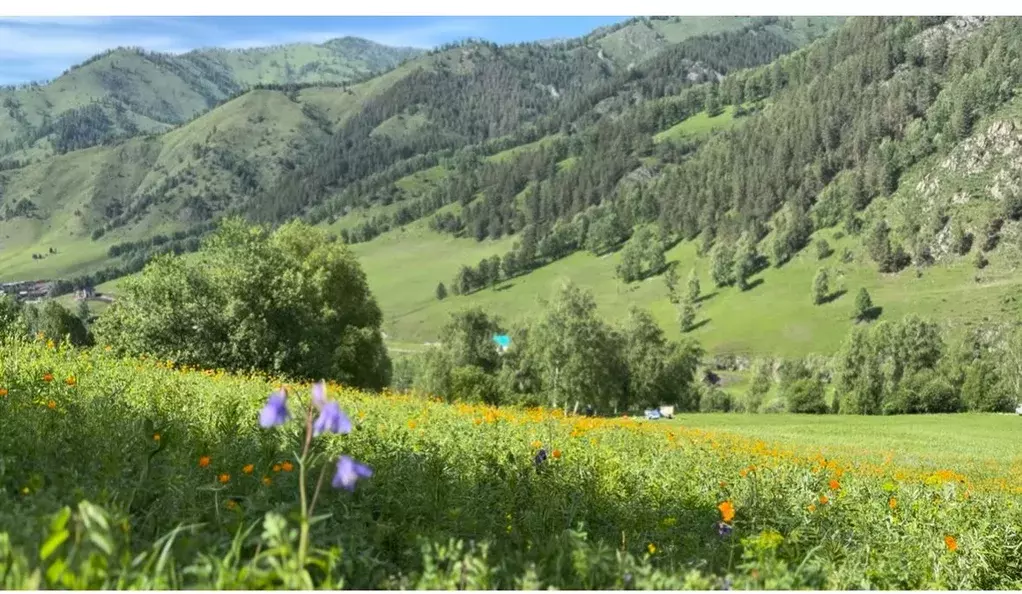 Участок в Алтай, Чемальский район, с. Уожан Заречная ул. (2.6 сот.) - Фото 0