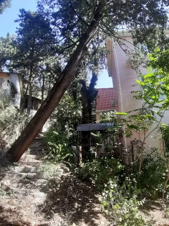 Участок в Крым, Ялта муниципальный округ, Кореиз пгт ш. Алупкинское, ... - Фото 1