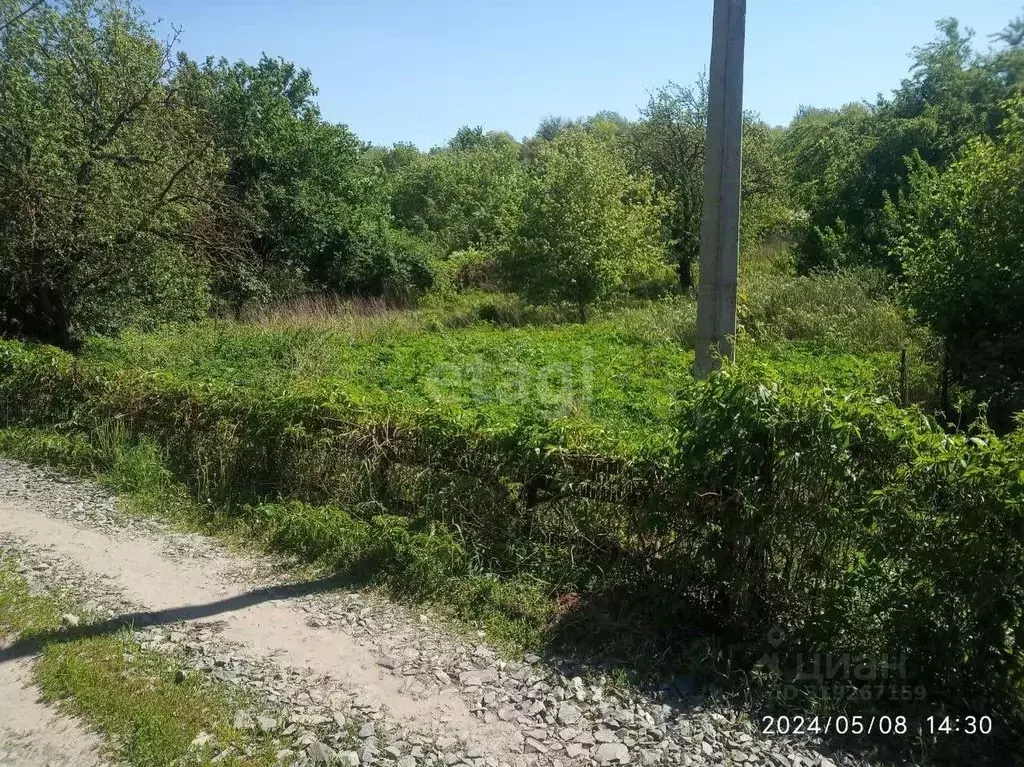 Участок в Белгородская область, Белгород Котельщик садовое ... - Фото 1