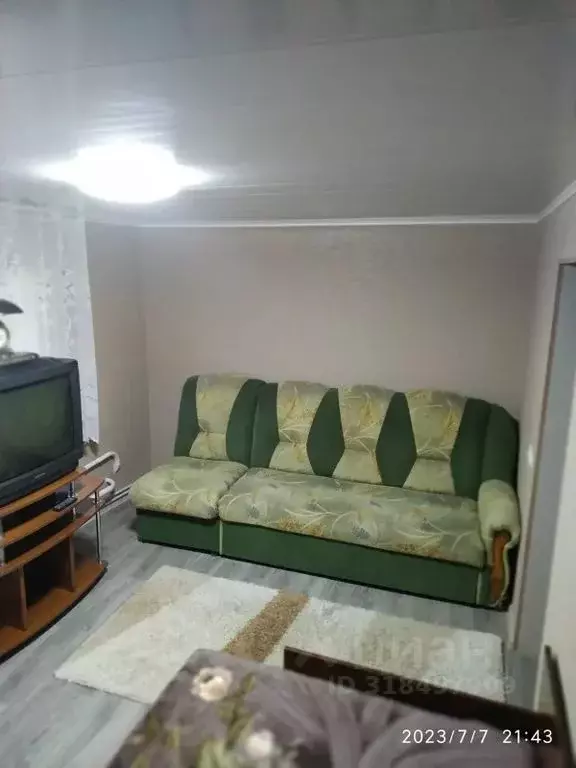 Дом в Алтайский край, Яровое ул. Менделеева, 67 (30 м) - Фото 1