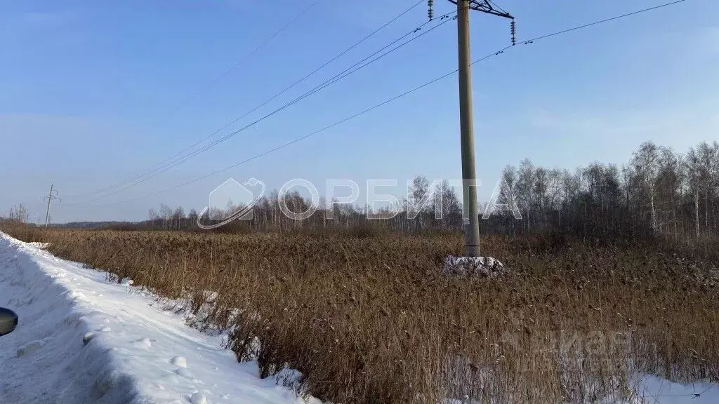 Участок в Тюменская область, Тюмень Велижанский тракт, 7-й км (50.0 ... - Фото 0