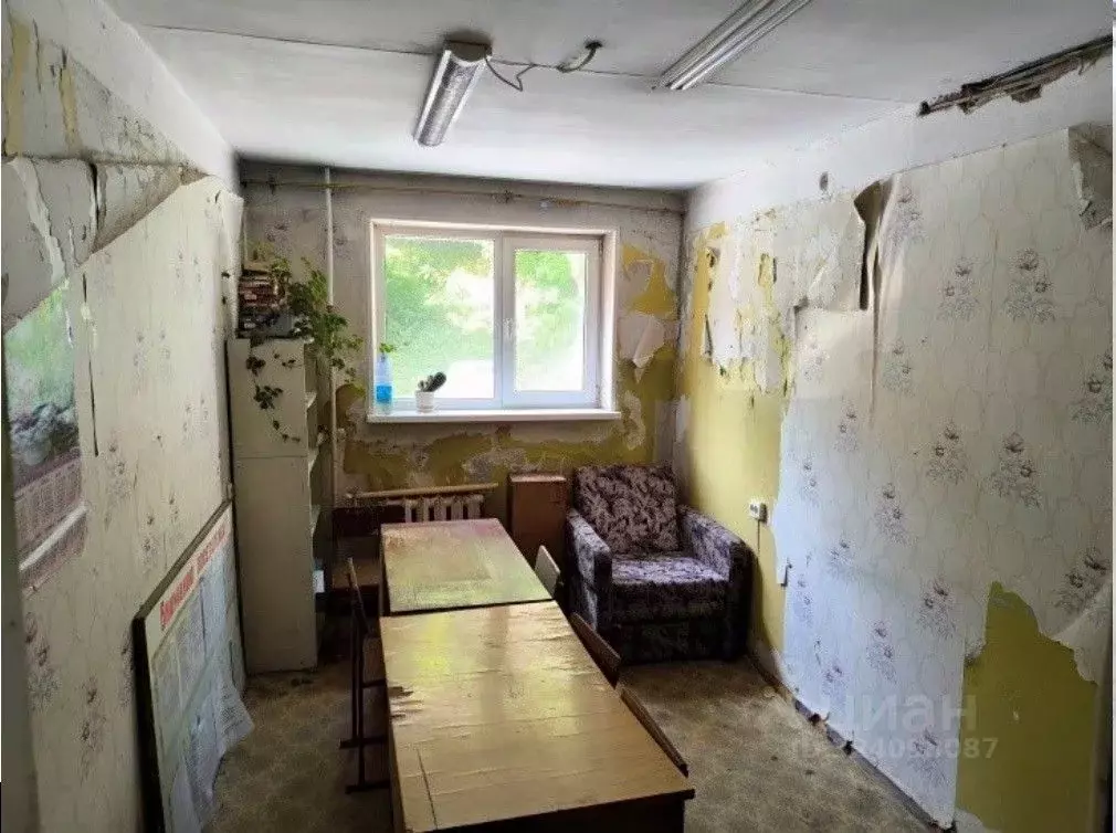 Помещение свободного назначения в Приморский край, Владивосток просп. ... - Фото 1