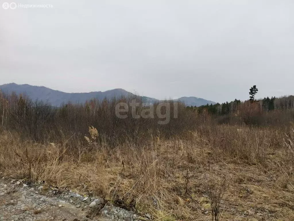 Участок в Манжерокское сельское поселение, село Озёрное, Таёжная улица ... - Фото 2