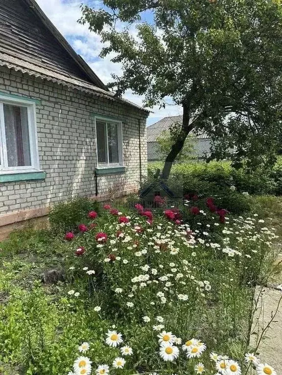 Дом в Белгородская область, Старооскольский городской округ, с. ... - Фото 0