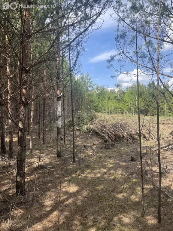 Участок в посёлок Бобровский, улица Есенина (1156 м) - Фото 1